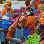 Teknologi Pangan – Tangga Menuju Karir Gemilang Teknologi Pangan – Tangga Menuju Karir Gemilang
